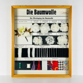 Vintage school education display Die Baumwolle (Cotton) by Josef Galler, Germany 1960s