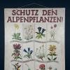 Vintage school botanical poster Austria 1930s Educational wall board Mädchen Volksschule Graz
