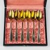 Antique set of 6 silver teaspoons Theodor Meyer Bern, Berndorf, 1920s