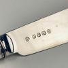 Antique Silver Plated Set Fish Knifes & Forks for 12 people, Sheffield England, 1910s