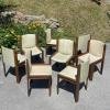 Set of 8 dining chair 300 by Joe Colombo for Pozzi Italy 1960s Mid-century italian modern